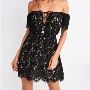TOBI Lace Skater Dress (XS) NWT